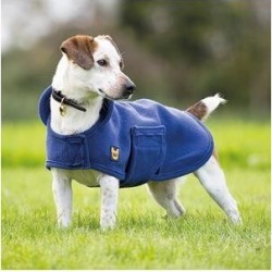 Shires Digby & Fox Dog Towel Coat - XS - Navy found on MODAPINS