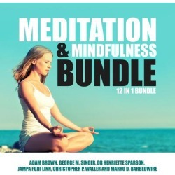 Meditation and Mindfulness Bundle: 12 in 1 Bundle - Download
