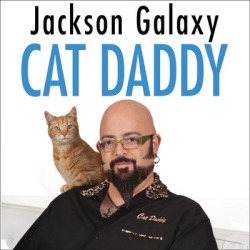 Cat Daddy - Download