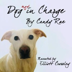 Dog not in Charge - Download