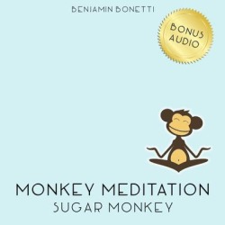 Sugar Monkey Meditation - Download
