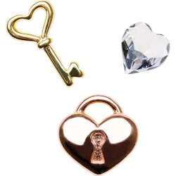Chamilia Keepsake Unlock My Heart Memory Locket Charms