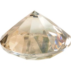Sophia Estella Champagne Chic Paper Weight