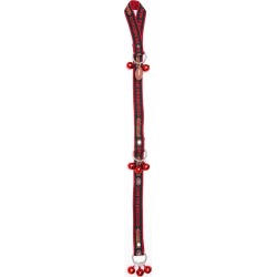 SAN FRANCISCO 49ERS Pet Training Bells