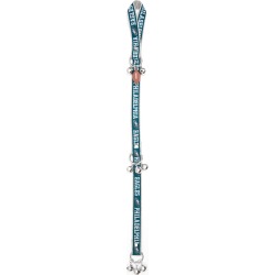 PHILADELPHIA EAGLES Pet Training Bells