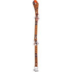 CHICAGO BEARS Pet Training Bells