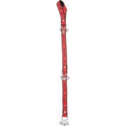 TAMPA BAY BUCCANEERS Pet Training Bells