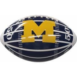 Michigan Field Mini-Size Glossy Football
