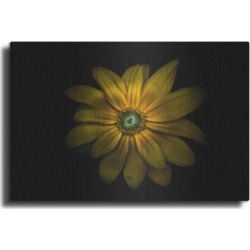 Red Barrel Studio® Backyard Flowers 34 Color Version by Brian Carson - Unframed Graphic Art on Metal in White | Wayfair