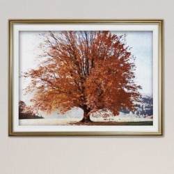 Winston Porter 'Season of Fall' Framed Acrylic Painting Print Metal in Orange, Size 24.0 H x 32.0 W x 1.5 D in | Wayfair found on Bargain Bro from Wayfair for USD $49.39