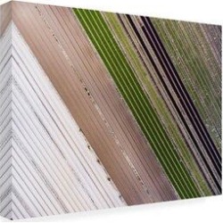 Ebern Designs Abstract Reality 3 by Karolis Jay - Wrapped Canvas Photograph Print Metal in Brown/Gray/Green, Size 24.0 H x 32.0 W x 2.0 D in Wayfair found on Bargain Bro from Wayfair for USD $80.55