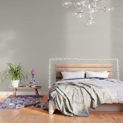 Off White Single Solid Color Coordinates With Balboa Mist Oc-27 - Trending Color Peel And Stick Wallpaper by Simply Solids - Solid Colors For Those T - 2' X 8'