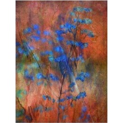 Winston Porter Colors Dance on Flowers by Delphine Devos - Wrapped Canvas Graphic Art Print Canvas & Fabric in Blue/Red | Wayfair found on Bargain Bro from Wayfair for USD $41.79