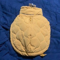 Zara Dog | Dog Quilted Jacket | Color: Gold/Silver | Size: Xs found on Bargain Bro from poshmark, inc. for USD $11.40