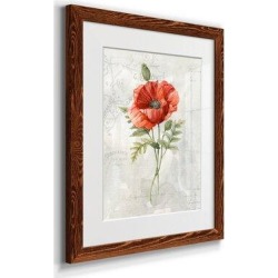 Winston Porter Linen Poppy - Picture Frame Graphic Art Print on Paper in Green/Red, Size 24.0 H x 18.0 W x 1.5 D in | Wayfair found on Bargain Bro from Wayfair for USD $58.51