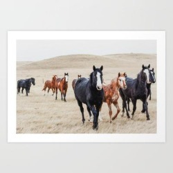 Wild Horses In The Field Art Print by Vintage Montana Home - X-Small