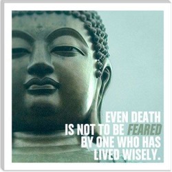 Winston Porter Icons, Heroes & Legends Buddha Quote Photographic Print on Canvas & Fabric in Gray, Size 37.0 H x 37.0 W x 0.75 D in | Wayfair found on Bargain Bro from Wayfair for USD $124.63