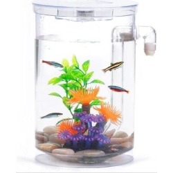 Tucker Murphy Pet™ Betta Fish Tank, 360 Aquarium w/ LED Light, 1 Gallon Fish Bowl, Small Fish Tank Kit, Beta Fish Tank Self Cleaning | Wayfair