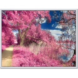Millwood Pines And Purple Fantasy Forest Landscape VI - Traditional Canvas Wall Art in Pink, Size 30.0 H x 40.0 W x 1.5 D in | Wayfair found on Bargain Bro Philippines from Wayfair for $125.33