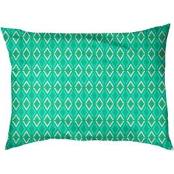 Tucker Murphy Pet™ Byrge Arrow Diamonds Pillow Polyester in Green, Size 14.0 H x 42.5 W x 14.0 D in | Wayfair 18C6FBFF8E4247ED8BB0B4BE9BCCC9A6 found on Bargain Bro from Wayfair for USD $72.26