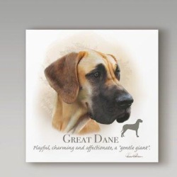 Trademark Fine Art 'Great Dane' Acrylic Painting Print on Wrapped Canvas & Fabric in Black/Brown, Size 24.0 H x 24.0 W x 2.0 D in | Wayfair found on Bargain Bro from Wayfair for USD $50.15