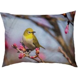 Tucker Murphy Pet™ Burkholder Bird Designer Pillow Fleece, Polyester in Brown, Size 14.0 H x 42.5 W x 32.5 D in | Wayfair found on Bargain Bro from Wayfair for USD $96.89