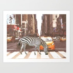 Zebra In New York City Art Print by Alemi - X-Small