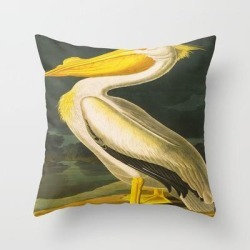 White Pelican John James Audubon Scientific Vintage Illustrations Of American Birds Couch Throw Pillow by Wings Of The World - Cover (16" x 16") with pillow insert - Indoor Pillow