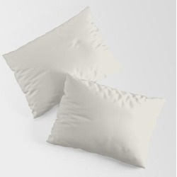 Off White Single Solid Color Coordinates With Balboa Mist Oc-27 - Trending Color King Size Pillow Sham by Simply Solids - Solid Colors For Those T - STANDARD SET OF 2 - Cotton