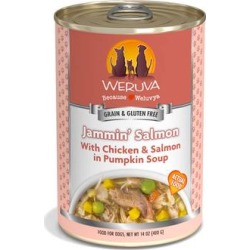 Weruva Classics Jammin' Salmon with Chicken & Salmon in Pumpkin Soup Wet Dog Food, 14 oz.
