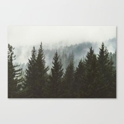 Wanderlust Forest Ii - Mountain Adventure In Foggy Woods Canvas Print by Cascadia - LARGE