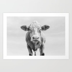 Art Print | Animal Photography | Cow Portrait Minimalism | Farm Animals | Black And White by Wildhood - X-Small - Society6