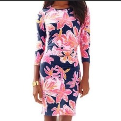 Lilly Pulitzer Dresses | Lilly Pulitzer Madison Fitted Body Con Dress Xl | Color: Blue/Pink | Size: Xl