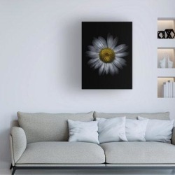 Ebern Designs Backyard Flowers 13 Color Version by Brian Carson - Wrapped Canvas Photograph Canvas & Fabric in White/Black | Wayfair