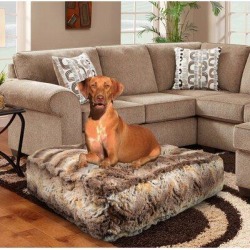 Tucker Murphy Pet™ Aparicio Rectangle Classic Bed Polyester in Brown, Size 4.0 H x 24.0 W x 28.0 D in | Wayfair C3B06F1C22BC46D297272B2B77D9E396 found on Bargain Bro from Wayfair for USD $70.75