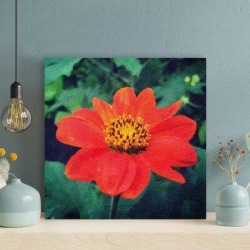 Winston Porter A Brilliant Red Flower - 1 Piece Rectangle Graphic Art Print On Wrapped Canvas & Fabric in Green/Red | Wayfair found on Bargain Bro from Wayfair for USD $29.63