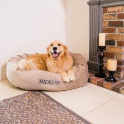 Majestic Pet Products Suede Bagel Bolster Dog Bed Polyester/Faux Suede in Indigo, Size 7.0 H x 23.0 W x 32.0 D in | Wayfair 720570928909 found on Bargain Bro from Wayfair for USD $55.44