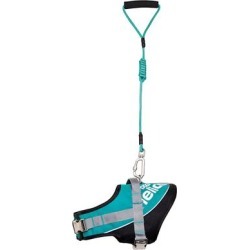 Dog Helios Teal Bark-Mudder Easy Tension 3M Reflective Endurance 2-in-1 Adjustable Dog Leash and Harness, Small