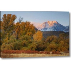 Millwood Pines 'CA, Sierra Nevada, Owens Valley Basin Mountain' Photographic Print on Wrapped Canvas & Fabric in Blue/Green | Wayfair found on Bargain Bro from Wayfair for USD $37.99