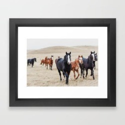 Wild Horses In The Field Framed Art Print by Vintage Montana Home - Vector Black - X-Small-10x12