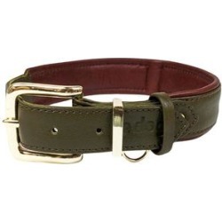 Le Dog Company Grass Green Padded Dog Collar, Large