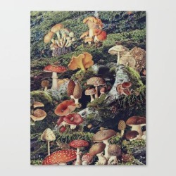 Canvas Print | Enchantment by Maggie Green - LARGE - Society6