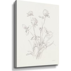 Winston Porter Nature Sketchbook VIII Gallery Canvas & Fabric in White, Size 10.0 H x 8.0 W x 2.0 D in | Wayfair 3106CB217AFF45008EBAF7A3851DB0EC found on Bargain Bro from Wayfair for USD $22.03