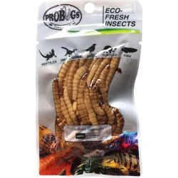 Pro Bugs Repashy Eco-Fresh Superworms, 20 Gallon, 20 GM found on Bargain Bro from petco.com for USD $4.17