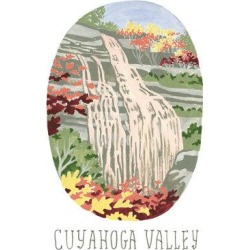 Ebern Designs National Parks Cuyahoga Valley by Angela Staehling - Print on Canvas & Fabric in Green/Yellow, Size 14.0 H x 10.0 W x 1.5 D in Wayfair found on Bargain Bro from Wayfair for USD $53.89