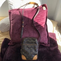 Louis Vuitton Bags | Authentic Louis Vuitton Amazon Bag | Color: Brown/Tan | Size: Os