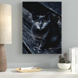 Ebern Designs 'Animal Portrait (130)' Photographic Print on Canvas & Fabric in Black, Size 30.0 H x 30.0 W x 2.0 D in | Wayfair found on Bargain Bro from Wayfair for USD $231.79
