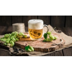 Home Brewing Beer