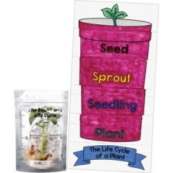 Life Cycle Of A Plant Kit by Really Good Stuff Inc