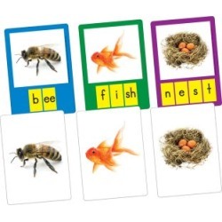 Small Group Phoneme Photo Cards by Really Good Stuff Inc
